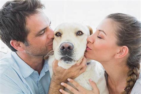 what is a kissing peck for a dog