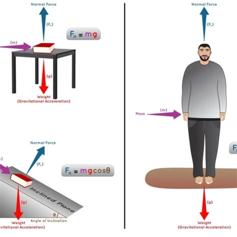 What Is A Normal Force