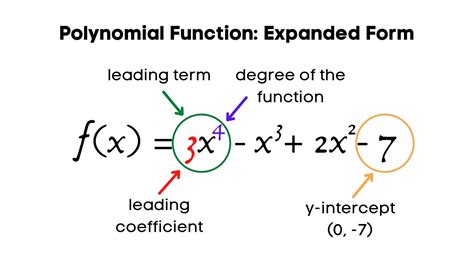 What Is A Polynomial Function