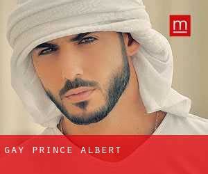 what is a prince albert in the gay community