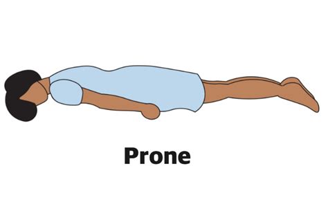 What is a prone bone