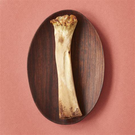 what is a shank bone for passover