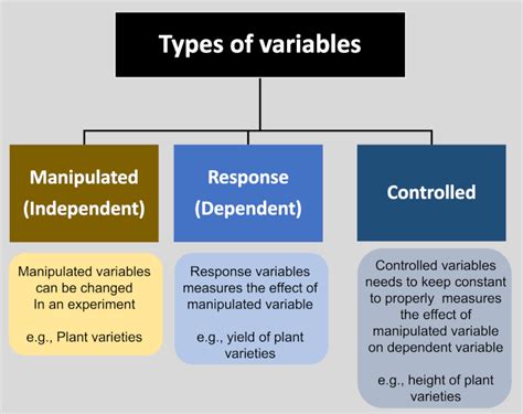 What Is A Variable Answered Control Amp Experiment Variables Science Worksheet - Variables Science Worksheet