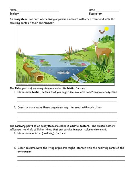 what is an ecosystem worksheet answers
