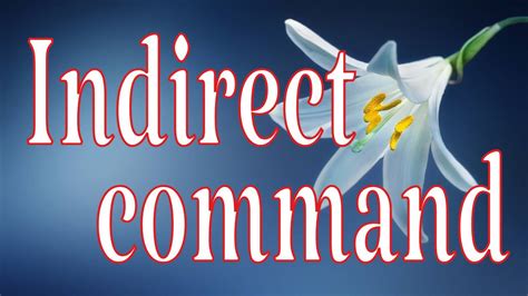 What Is An Indirect Command In Spanish