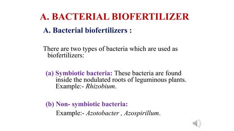 What Is Biofertilizer