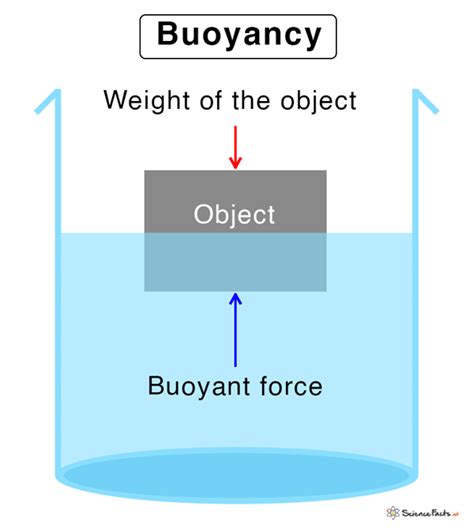 What Is Buoyancy With Pictures Buoyancy And Archimedes Principle Worksheet - Buoyancy And Archimedes Principle Worksheet