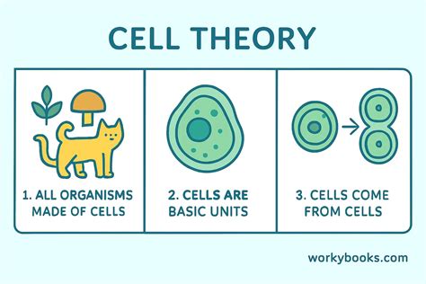 What Is Cell Theory Class 9
