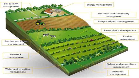 What Is Crop Pattern