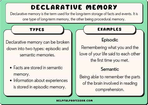 What Is Declarative Memory