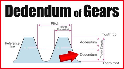 What Is Dedendum