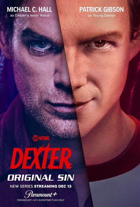 What Is Dexter About