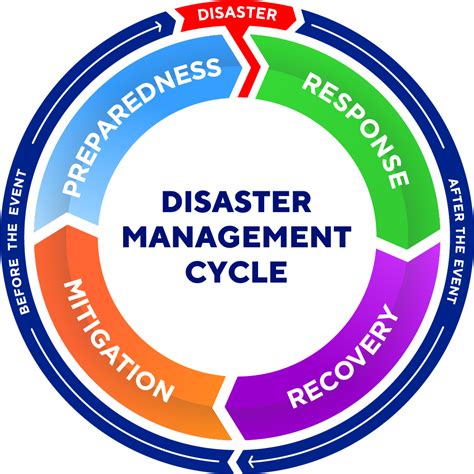 What Is Disaster Management Class 9