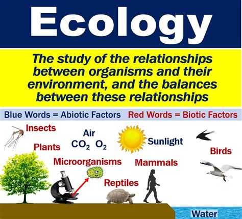 What Is Ecology What Is Ecology Ecology Is Darwin S Dangerous Idea Worksheet Answers - Darwin's Dangerous Idea Worksheet Answers