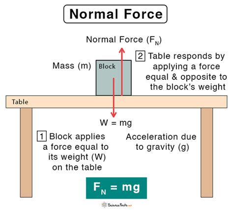What Is Force Normal