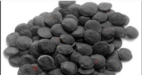 what is griffonia simplicifolia seed extract