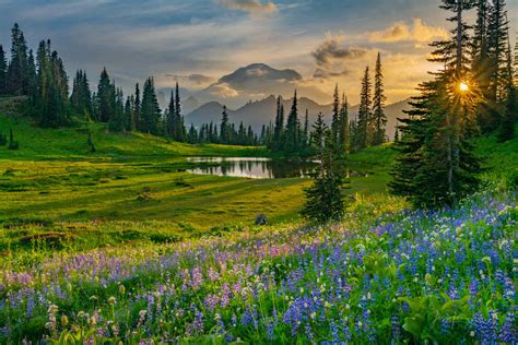 What Is Landscape