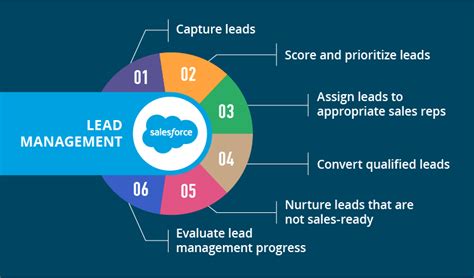 What Is Lead Management Salesforce When To Add A Lead Into Crm - When To Add A Lead Into Crm