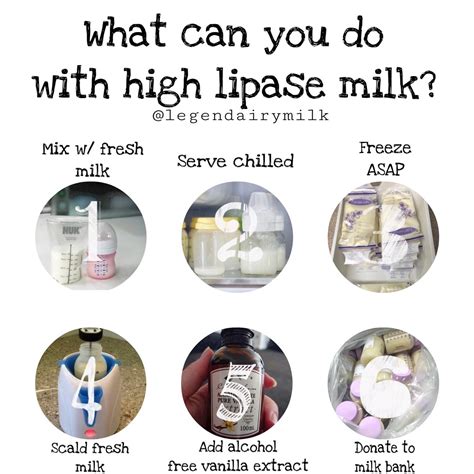 what is lipase in breast milk