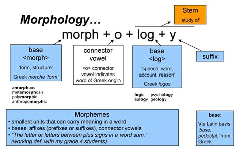 What Is Morphology