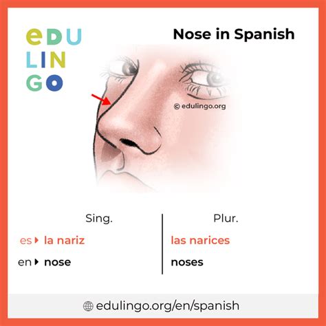 what is nose in spanish