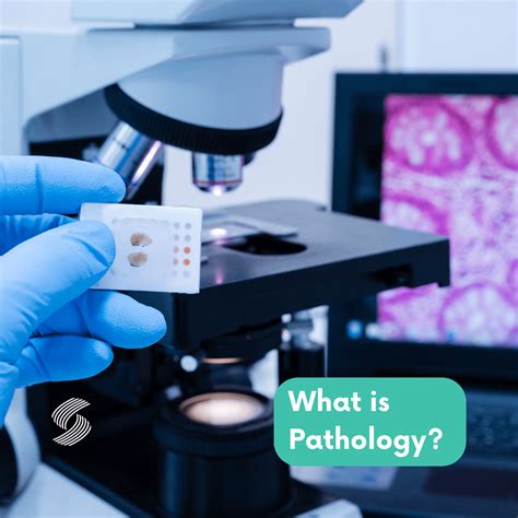 What Is Pathology