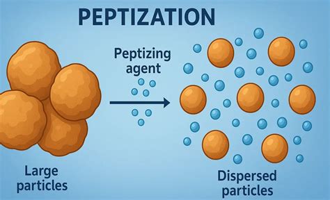 What Is Peptization