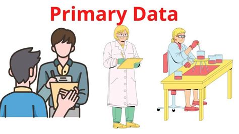 What Is Primary Data