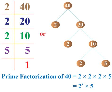 What Is Prime Factorization In Math