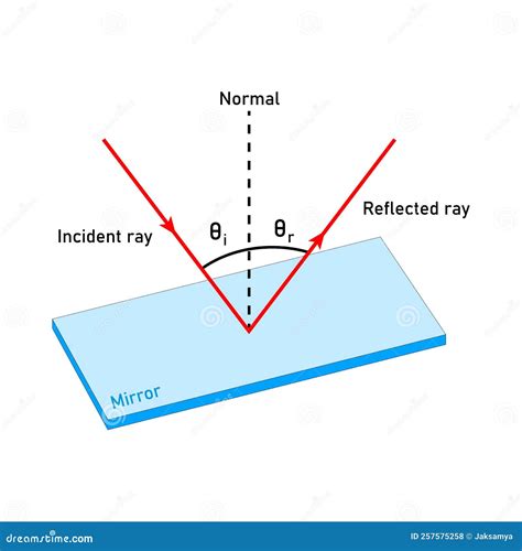 What Is Reflected In A Cad