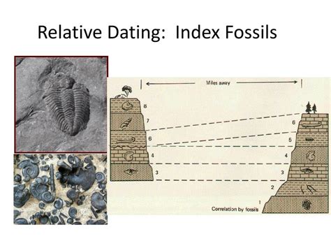 what is relative dating of fossils
