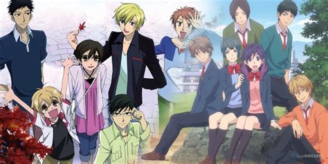 What Is Reverse Harem