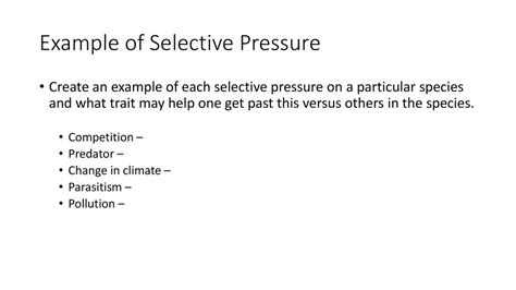 What Is Selective Pressure