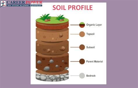 What Is Soil Profile