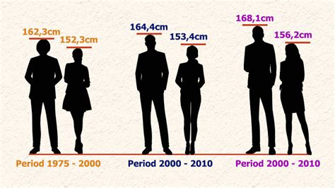what is the average height for a vietnamese woman
