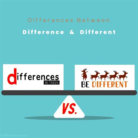 What Is The Difference Between File And Folder