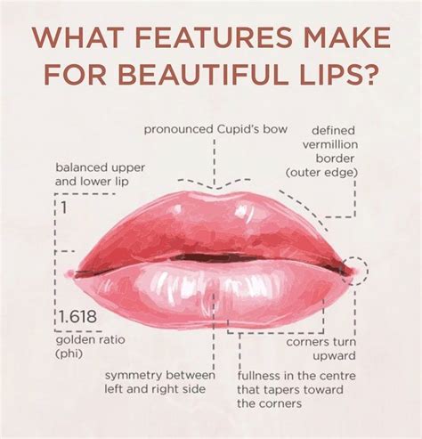 what is the effect of lip kissimmee