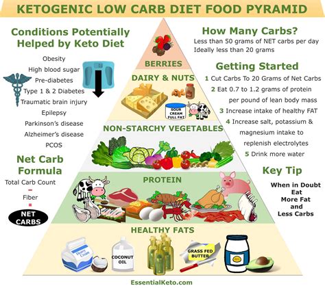 What Is The Keto Food Pyramid Approved Science Food Pyramid Science - Food Pyramid Science