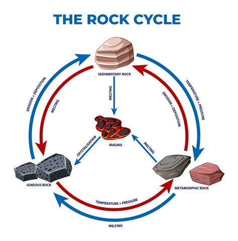 What Is The Rock Cycle Actforlibraries Org Science Rock Cycle - Science Rock Cycle