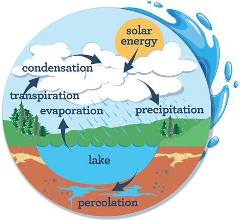 What Is The Water Cycle Actforlibraries Org Earth Science Water Cycle - Earth Science Water Cycle