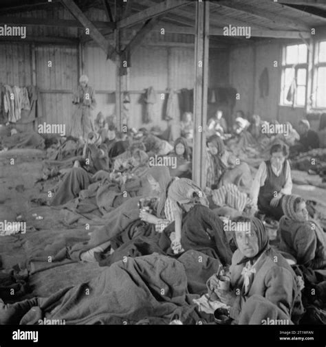 what is typhus in concentration camps