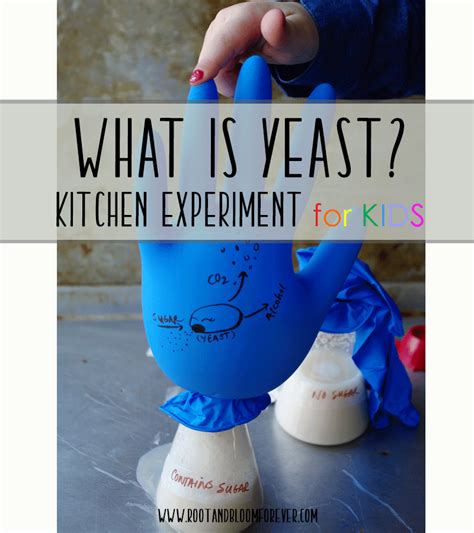 What Is Yeast Yeast Experiments Kitchen Science Yeast Science - Yeast Science