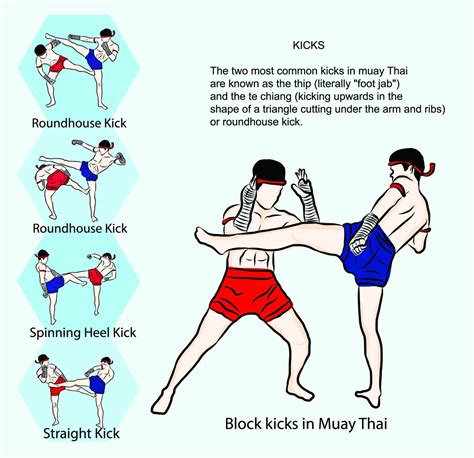 what kicks are allowed in muay thai
