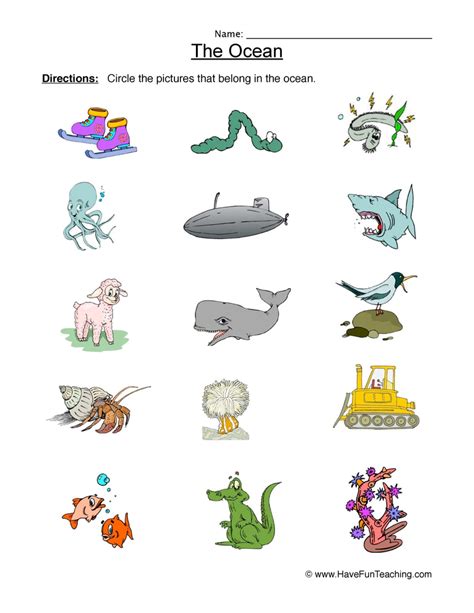 What Lives In The Sea Worksheets 99worksheets Sea Animals Worksheet - Sea Animals Worksheet