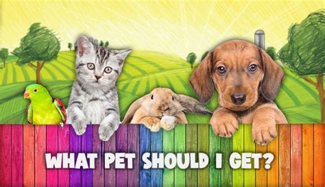 What Pet Should I Get Classic Seuss