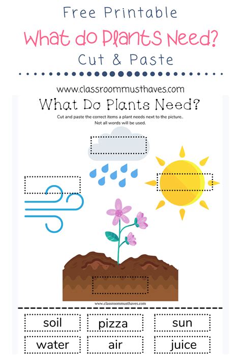 What Plants Need To Grow Worksheets For Preschools Planting Worksheets For Preschool - Planting Worksheets For Preschool