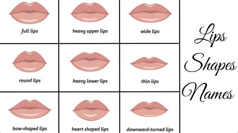 what size lips are considered small