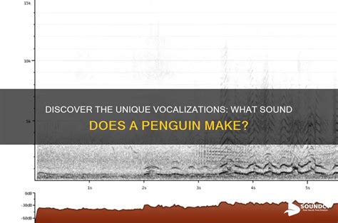 What Sound Does A Penguin Make