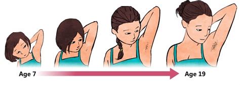 what stage of puberty is armpit hair girl