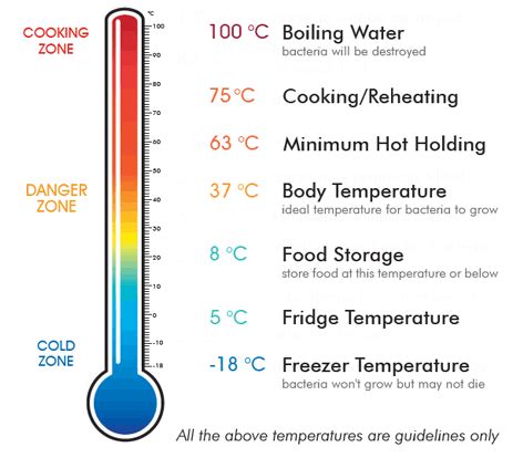 What Temperature Does Bacteria Die Celsius